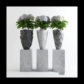 绿色植物盆栽3D模型